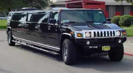 ******hamer 2006*****